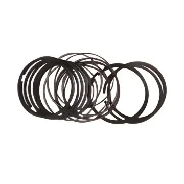 MC07 MC11 piston ring for SINOTRUK MAN MC07/11 Engine Genuine OEM Engine Spare Parts for SITRAK C7H / HOWO T7H